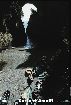 Furore, il fiordo/The Fiord 